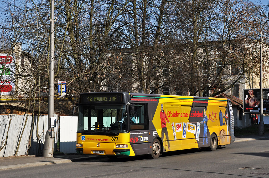 Irisbus CityBus 12M #377