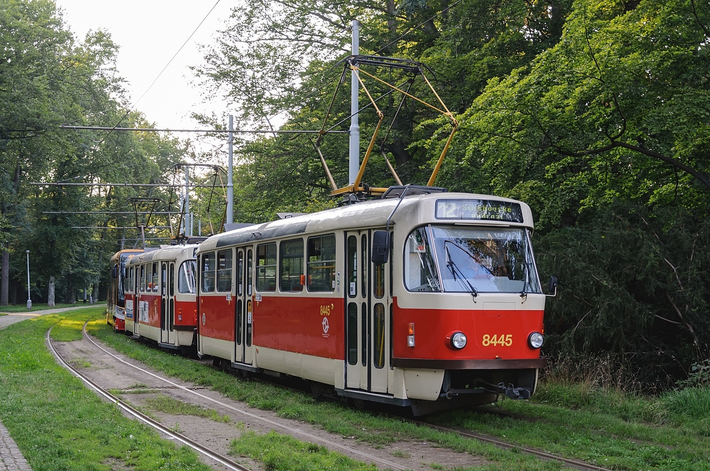Tatra T3 #8445